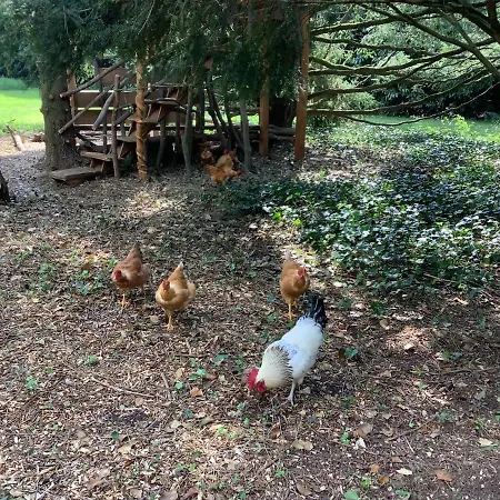 La Forge, Lieu Des Chevilloux 別荘