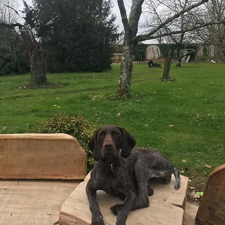 La Forge, Lieu Des Chevilloux 別荘 *