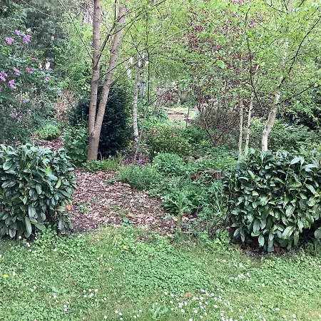 La Forge, Lieu Des Chevilloux *