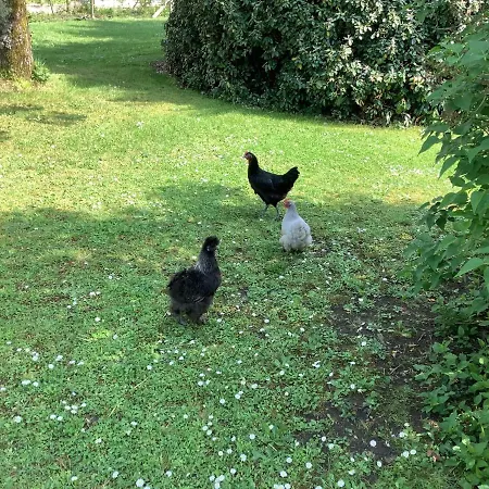 La Forge, Lieu Des Chevilloux *