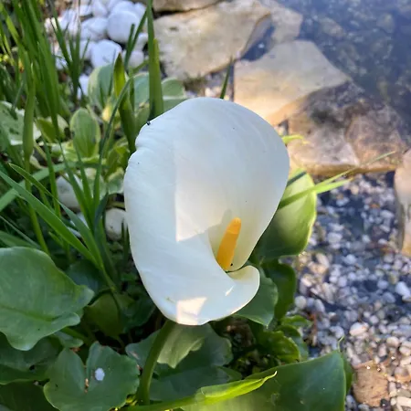 La Forge, Lieu Des Chevilloux Tatil Evi *