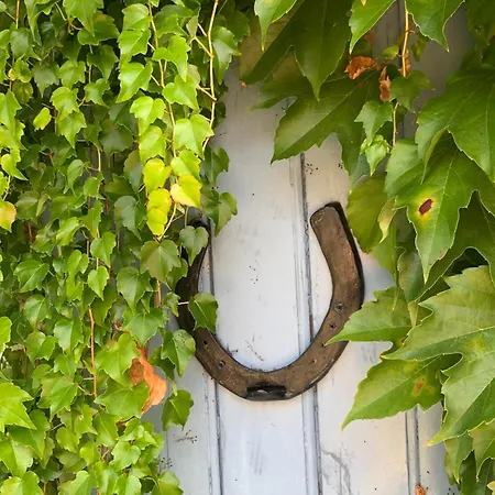 La Forge, Lieu Des Chevilloux Prázdninový dům Agris
